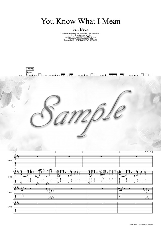 You Know What I Mean/ギタースコア(TAB譜)【コード付】 mucome